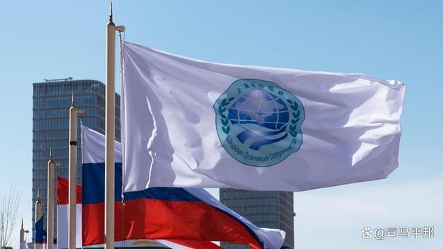 不来华亏大了，中方邀多国元首一块吃饭，另一安排也让特朗普眼红